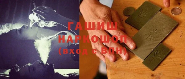 гидра Каменногорск