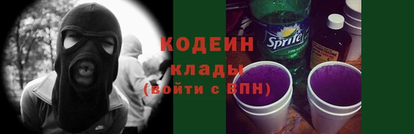 первитин Каменка