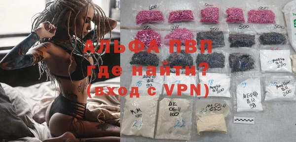 гидра Каменногорск