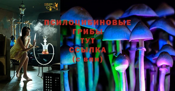 первитин Каменка