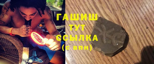 гидра Каменногорск