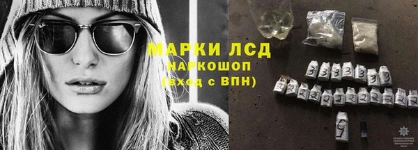 гидра Каменногорск
