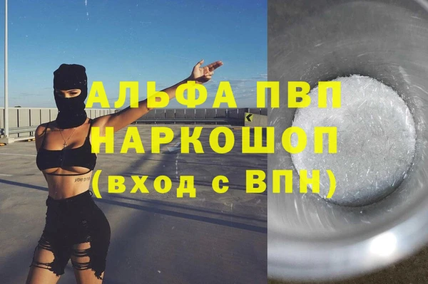 гидра Каменногорск