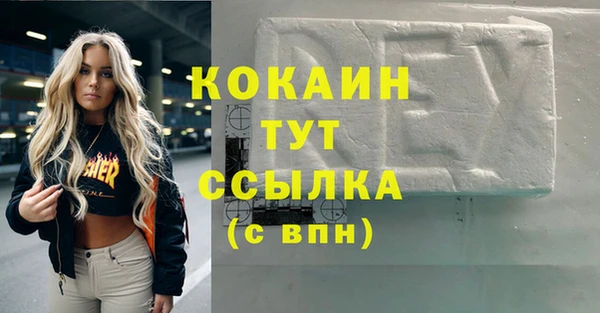 гидра Каменногорск
