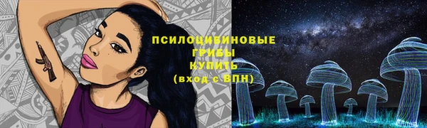 гидра Каменногорск